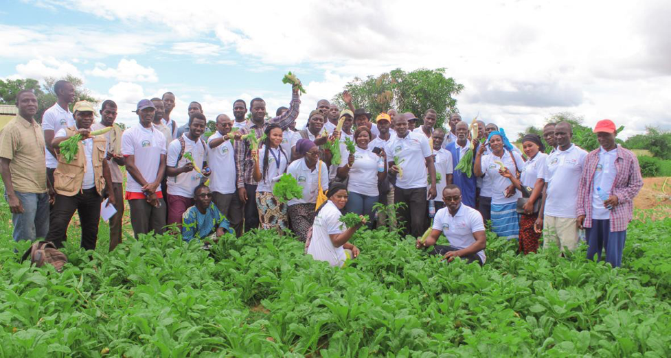 Système de Production Agro écologique et Biologique au Mali (SyPAB)